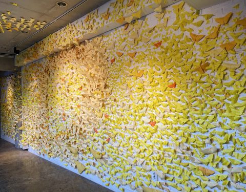 세월호7주기