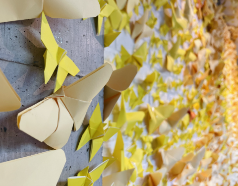 세월호7주기