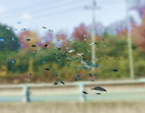 부천민예총 〈시선전〉