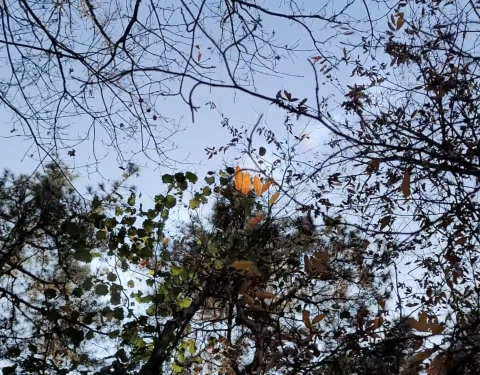 부천민예총 〈시선전〉