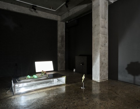 머피염 〈On Lullabies〉