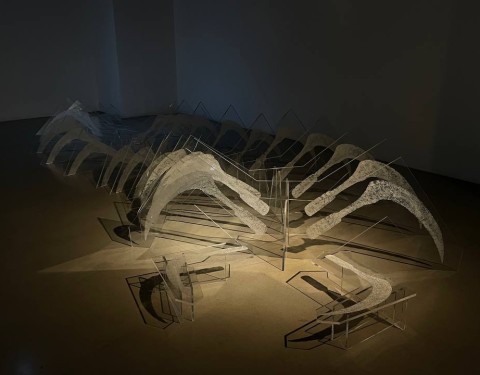 새로운 자연계약을 위하여