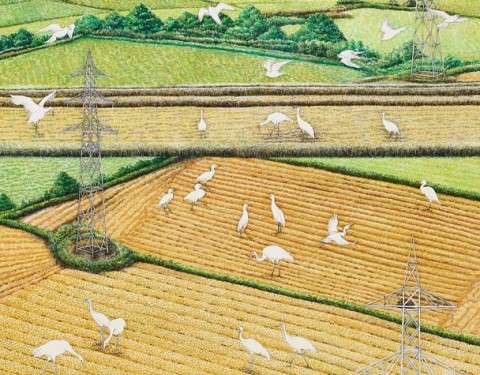 새로운 자연계약을 위하여