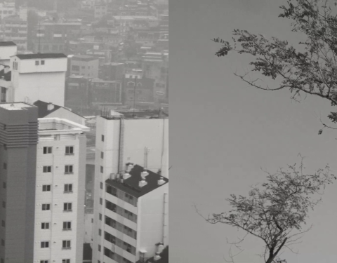 오이코폴리틱스 OIKOPOLITICS