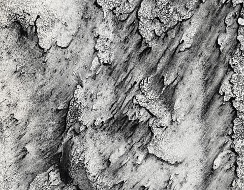 안위 〈스며들다(Imbue)〉