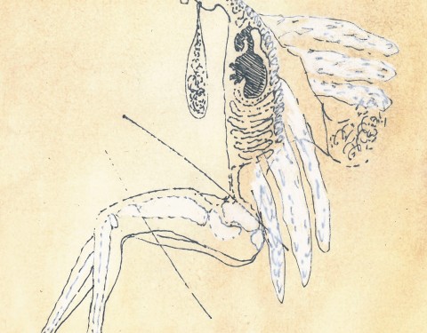 안위 〈스며들다(Imbue)〉